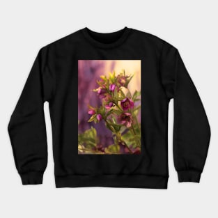 Helleborus Crewneck Sweatshirt